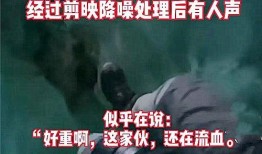 阿阳乌鸦爆料事件视频,揭秘事件背后真相